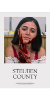 Steuben County (2020 - English)